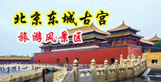 毛茸茸的骚穴中国北京-东城古宫旅游风景区